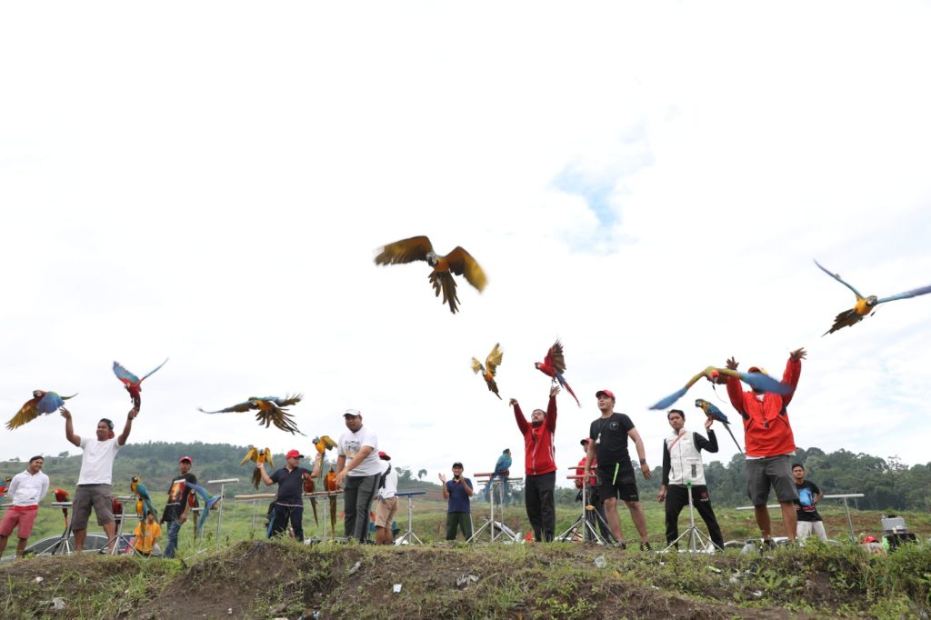 Keseruan Bermain Burung Macaw di Akhir Pekan
