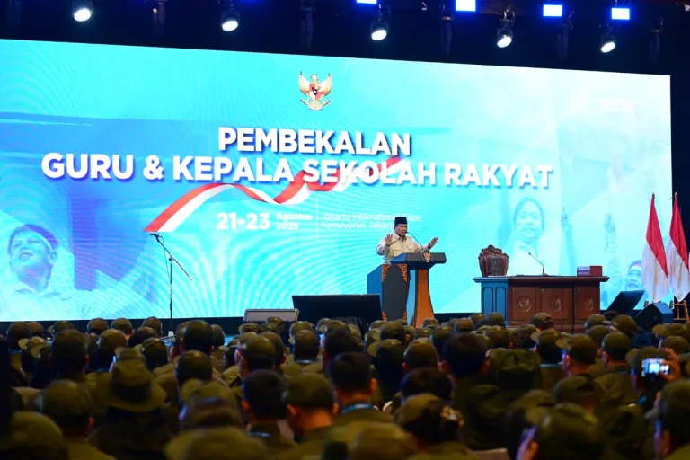 WhatsApp Image 2025-08-22 at 20.43.32