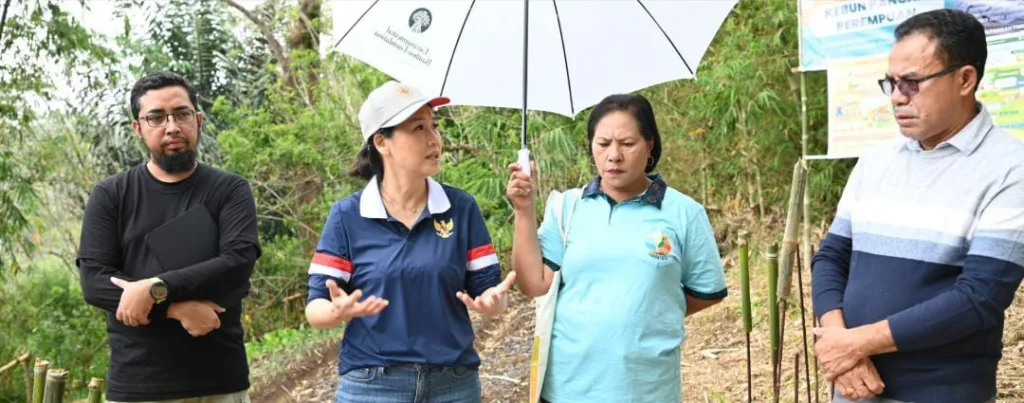 WhatsApp Image 2025-11-03 at 14.31.00