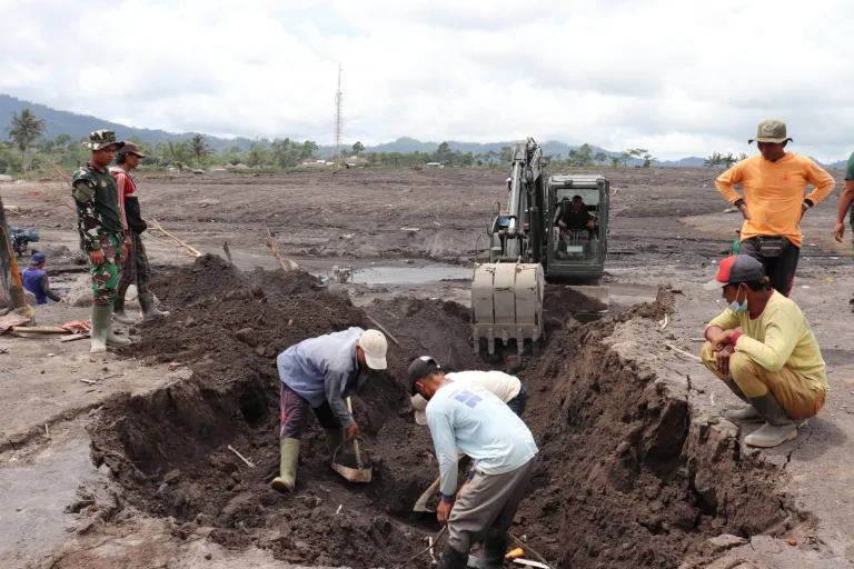 WhatsApp Image 2025-12-01 at 11.18.50