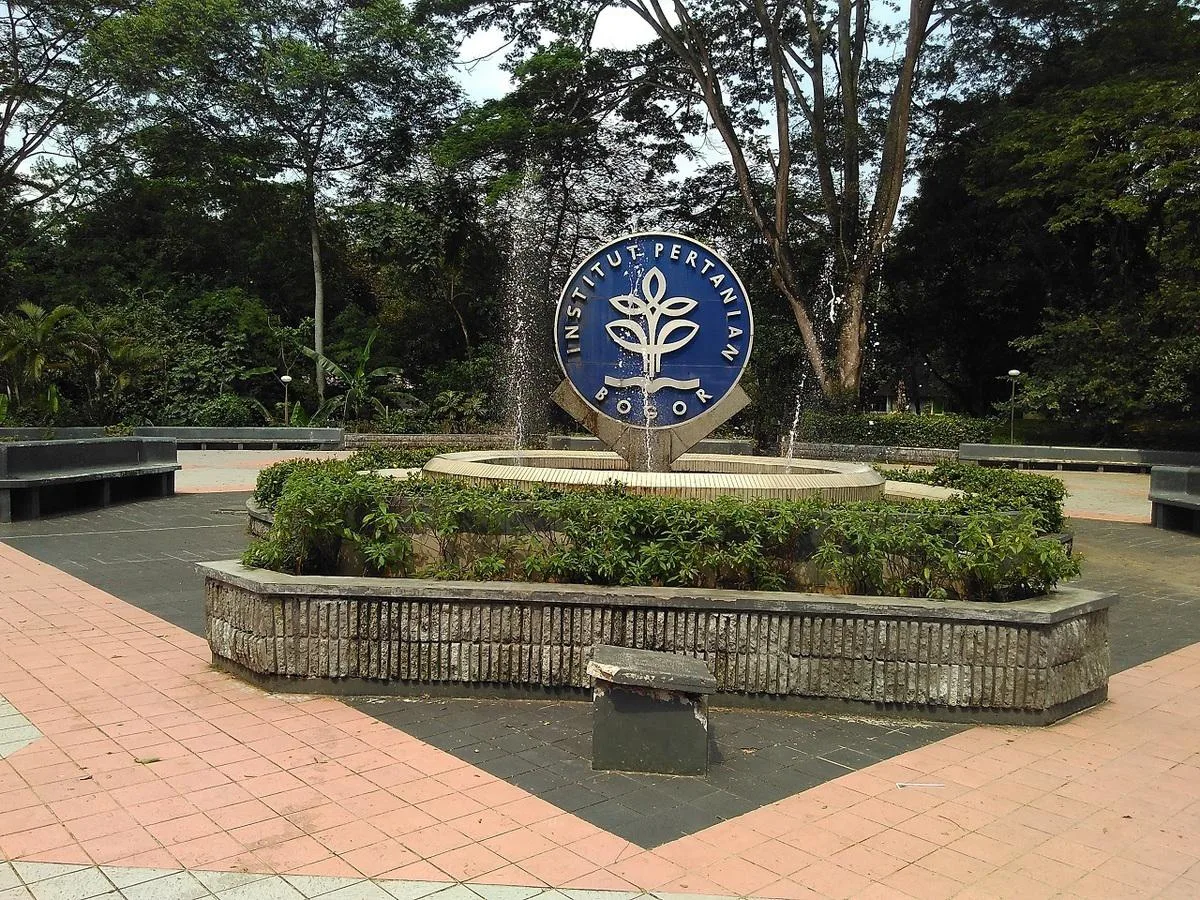 IPB
