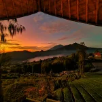 WhatsApp Image 2026-02-08 at 15.40.37