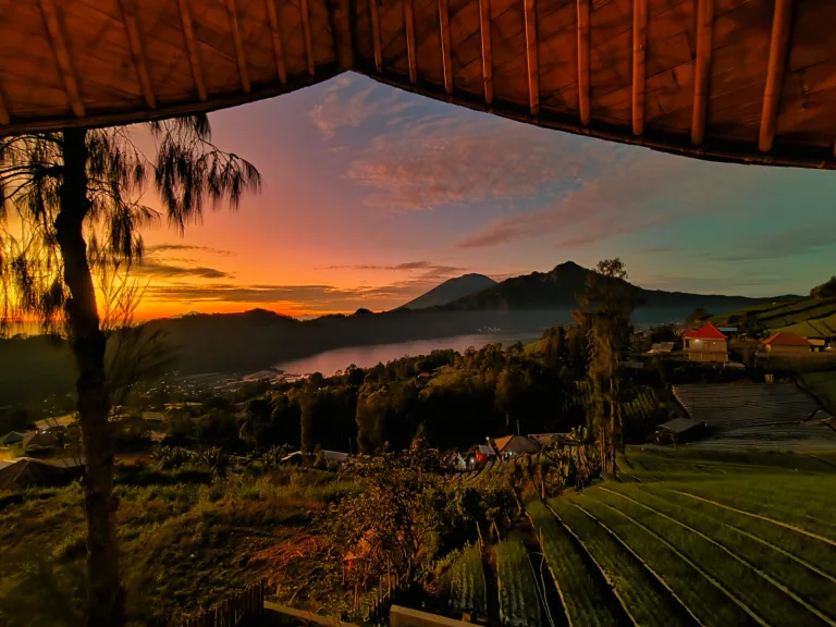 WhatsApp Image 2026-02-08 at 15.40.37