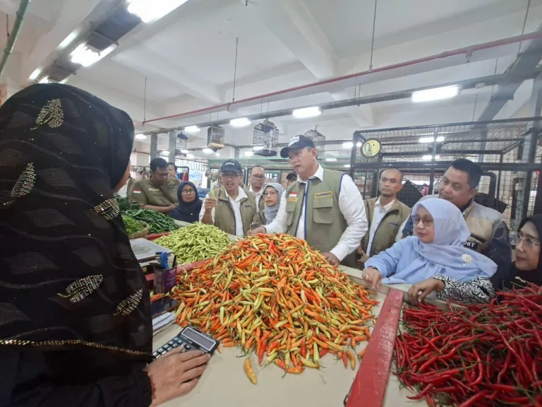 WhatsApp Image 2026-02-28 at 14.45.05 (1)