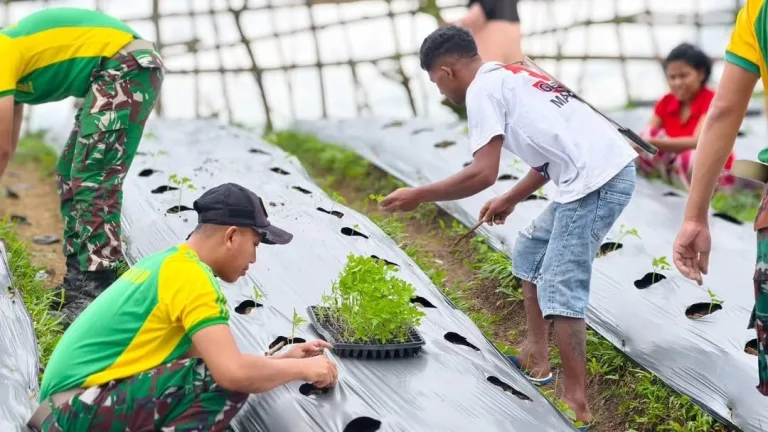 WhatsApp Image 2026-03-06 at 14.03.31