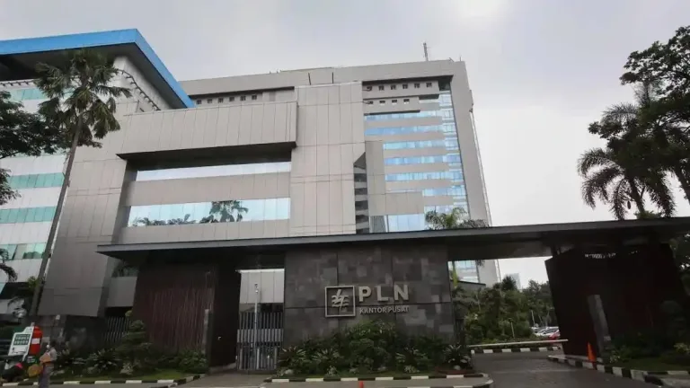 PLN