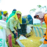 Kementan RI