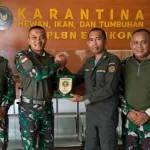 Kostrad