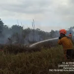 kebakaran